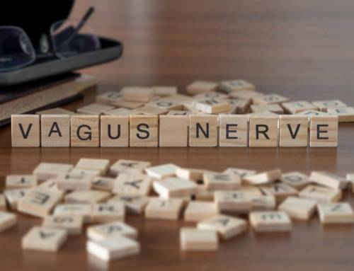 Kennen Sie Ihr Nervensystem?