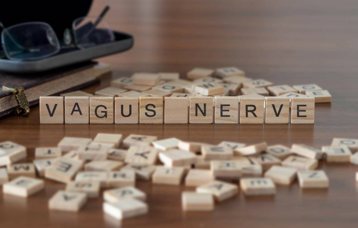 vagus nerve word or concept represented by wooden letter tiles o